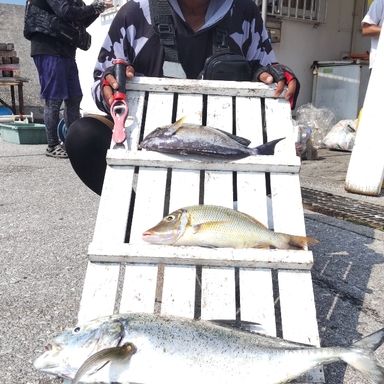 DAIWA FREAMS LT6000D-H