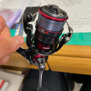 DAIWA GEKKABIJIN LT2000S