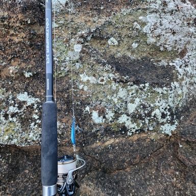 SHIMANO COLTSNIPER XR S100M