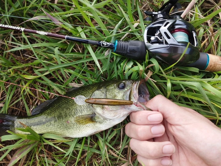 ダイワ アルファス エア TW 8.6R