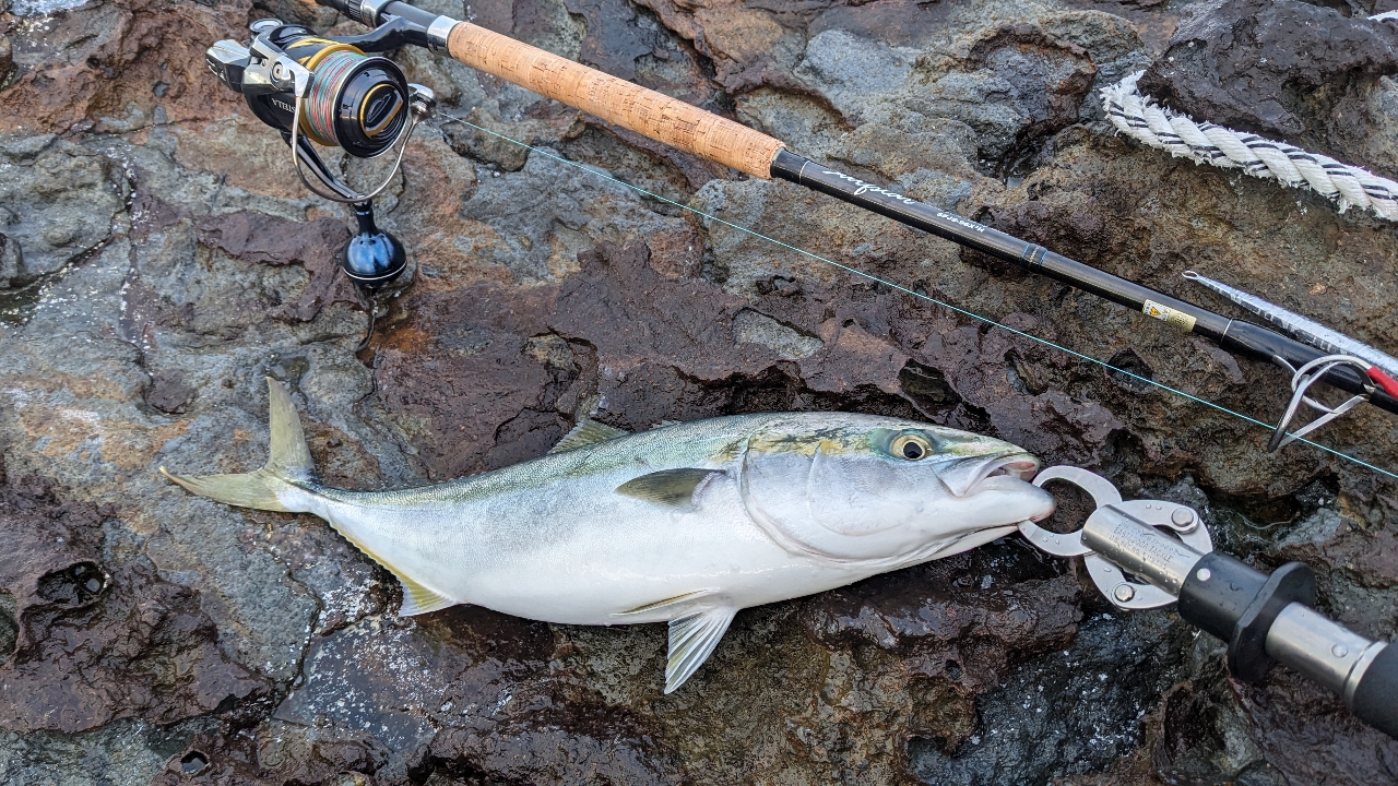 SHIMANO 19ステラ SW 10000PGのインプレ一覧 | 本音の口コミが