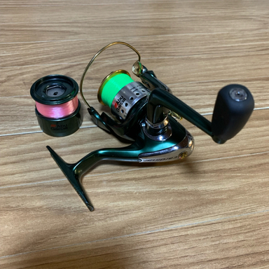 AbuGarcia cardinal 301