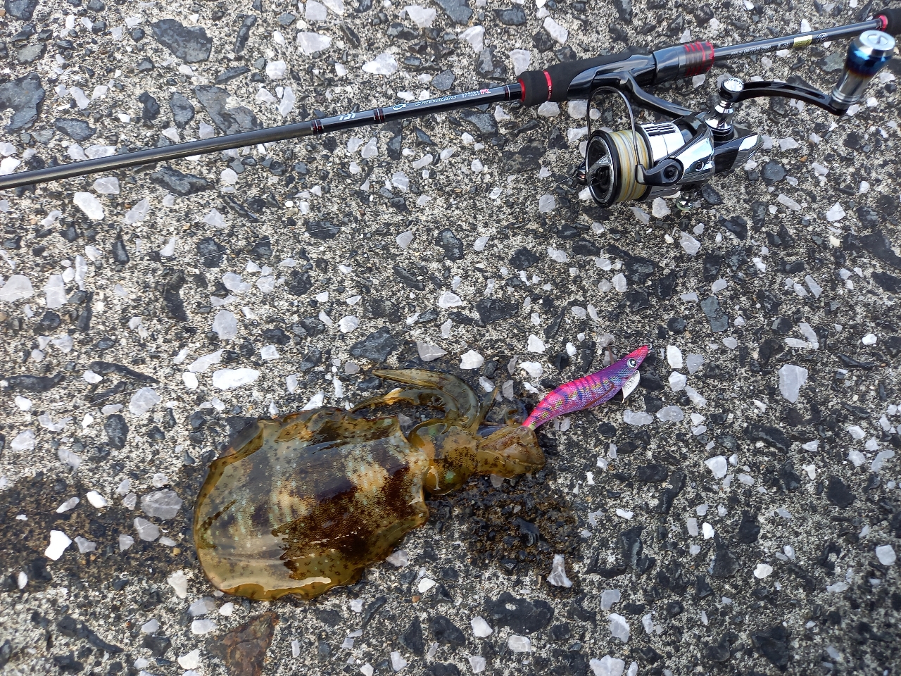 DAIWA 21エメラルダス ストイスト RT 76MMHの最安値・インプレ