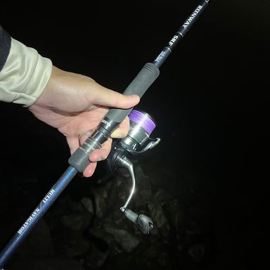 XESTA RUNWAY SRF 10.3M マルチナビゲーター