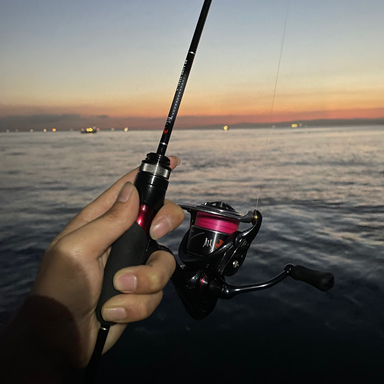 DAIWA GEKKABIJIN MX AJING 55XUL-S･N