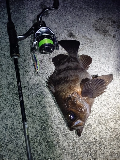 シマノ ナスキー C2000S