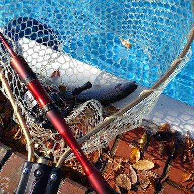 SHIMANO WORLD SHAULA Technical Edition S64UL-RS3