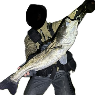 APIA Foojin'RS 96ML+ VIVOGUE