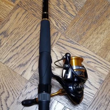 DAIWA REVROS LT3000-CH