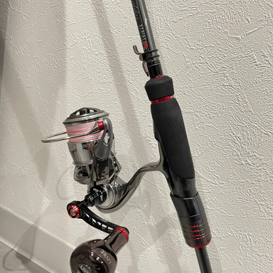 DAIWA EMERALDAS STOIST RT IL 81M