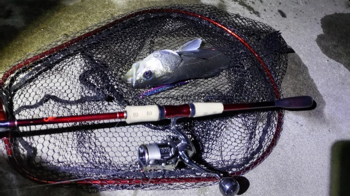 シマノ ワールドシャウラ 2831R-2