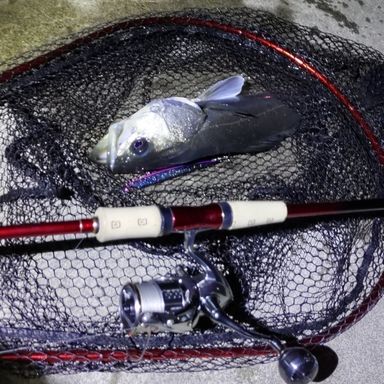 SHIMANO WORLD SHAULA 2831R-2