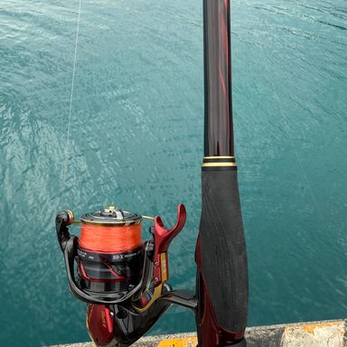 SHIMANO 24BB-X TECHNIUM FIRE BLOOD C3000DXG S