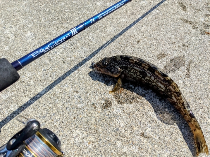 ヤマガブランクス ブルーカレント 3 74