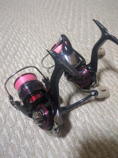 ダイワ 月下美人 LT1000S