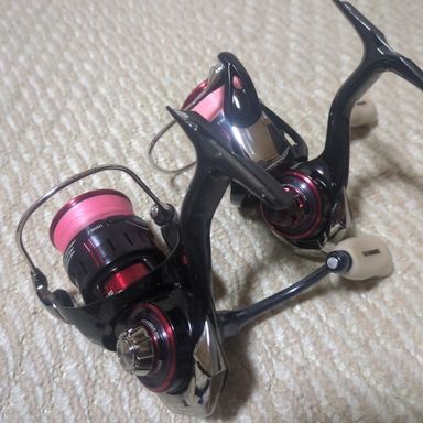 DAIWA GEKKABIJIN LT1000S