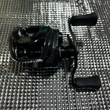 DAIWA 24 STEEZ SV TW 100H