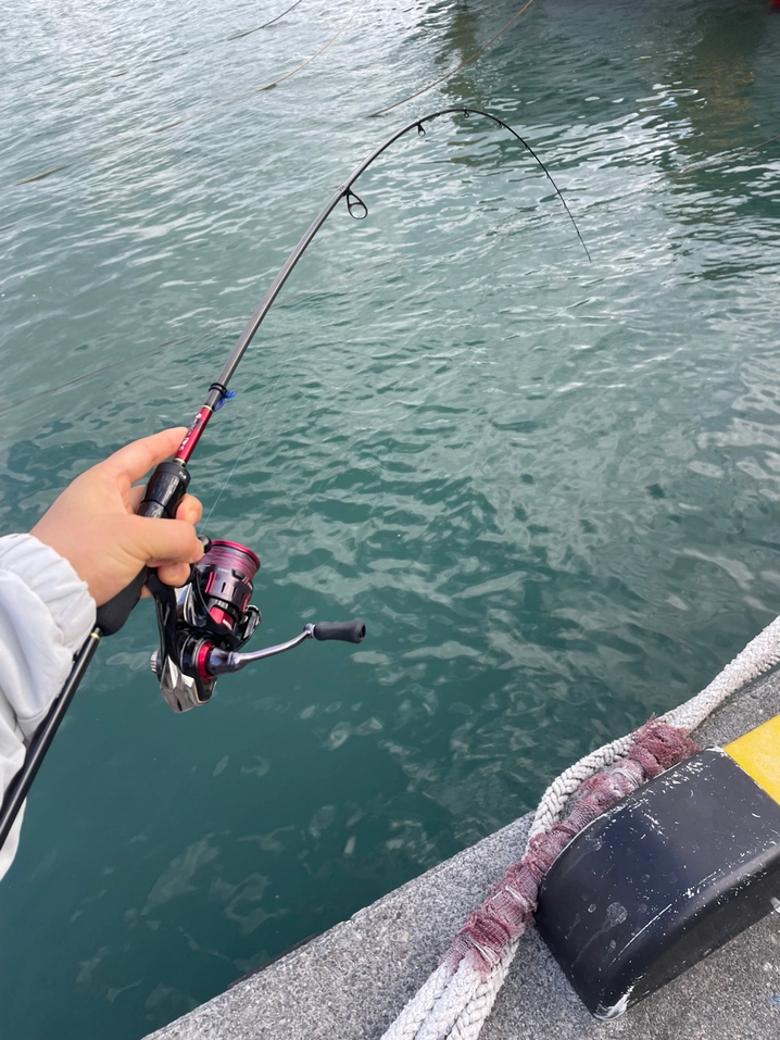 ダイワ 月下美人 AIR 68L-T･W