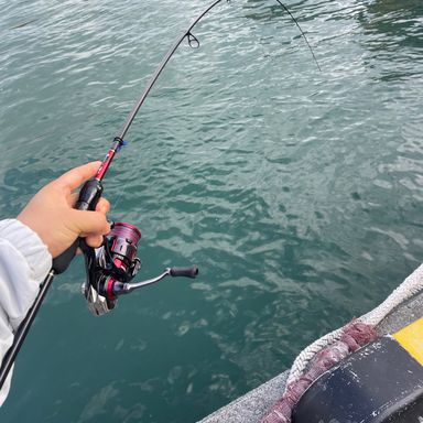 DAIWA GEKKABIJIN AIR 68L-T･W