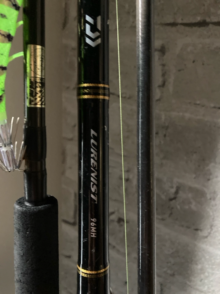 ダイワ ルアーニスト 96MH