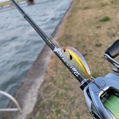 SHIMANO HARDBUL 8+ 1.5号