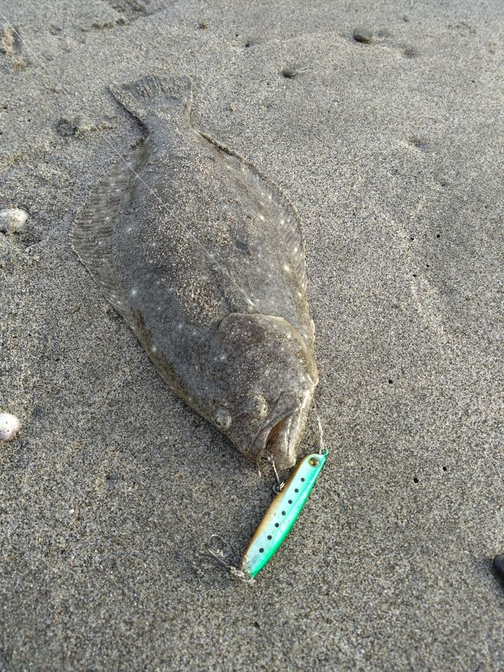 SHIMANO ネッサ CI4+ S1002MHの最安値・インプレ・釣果 | 本音の口コミ