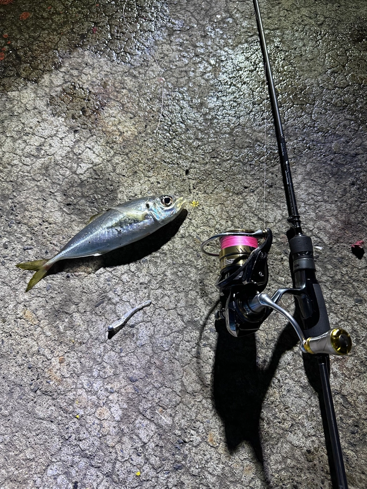 メジャークラフト 鯵道 5G AD5-S582L/AJI