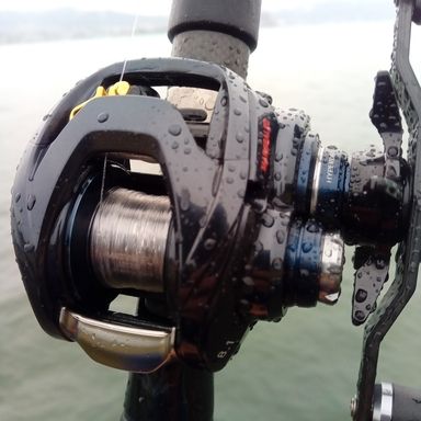 DAIWA STEEZ A TW HLC 8.1R