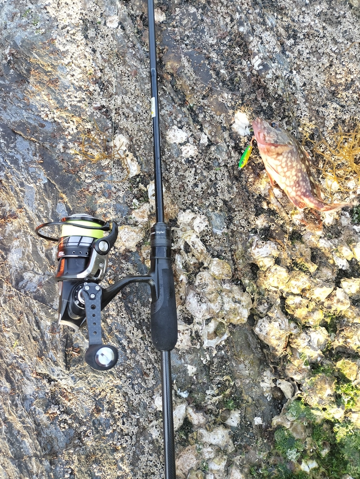 アブガルシア ソルティーフィールド SFS-762L