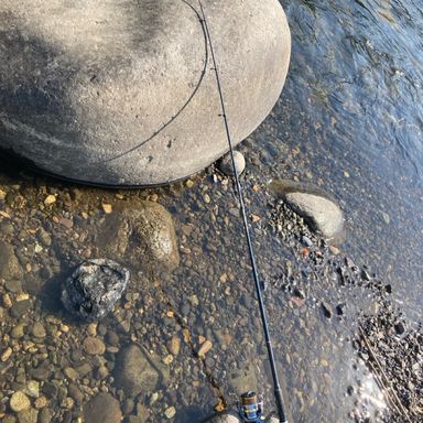 alpha tackle TRGR pockebit's 55L 50L