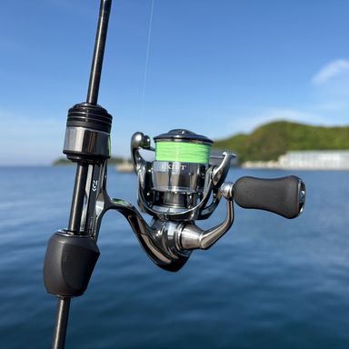 AbuGarcia Eradicator Realfinesse Prototype ERFS-46Pro-ST