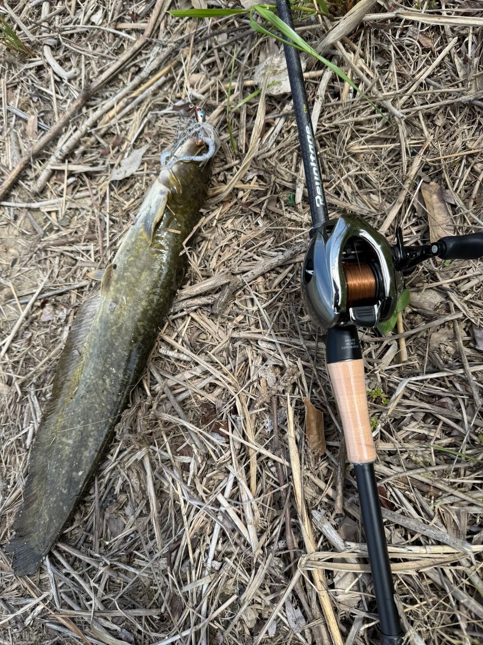 JACKALL リボルテージの最安値・インプレ・釣果 | 本音の口コミが