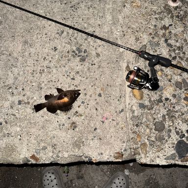 SLASH SILENT VISION SV-6102ST