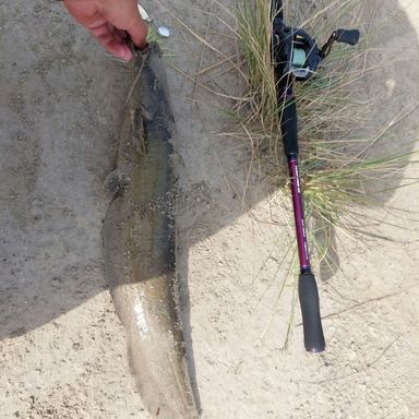 YGKよつあみ XBRAID OLLTOLOS DU-S NYLON 3号/12lb/100m/グリーン