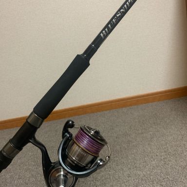DAIWA CERTATE 24 セルテート 6000 H