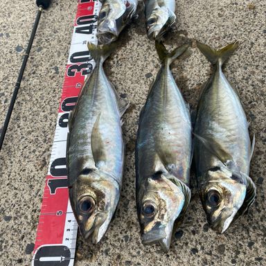 YAMAGA Blanks BlueCurrent TZ NANO JH-Special 62