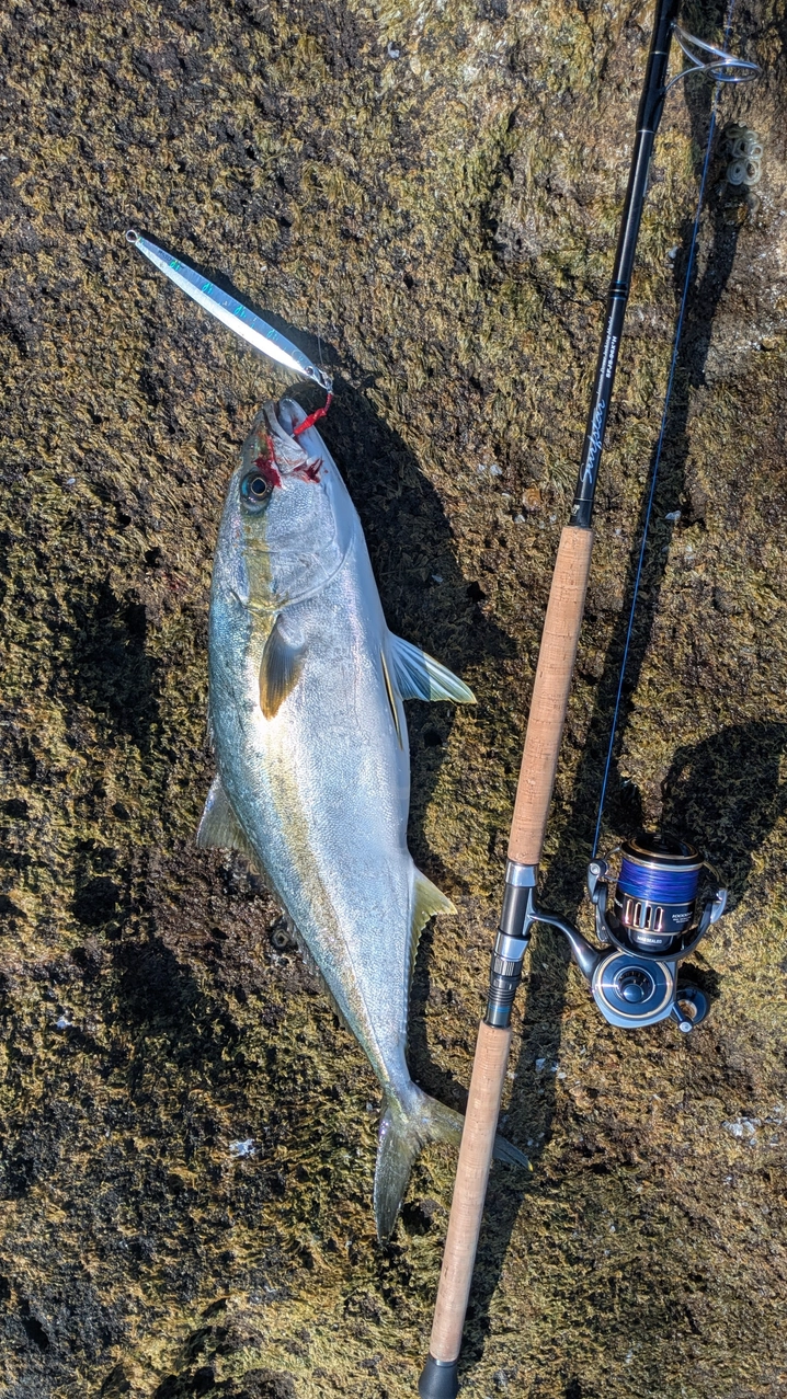 パームス サーフスターJ.カスタム SFJS-96X³H