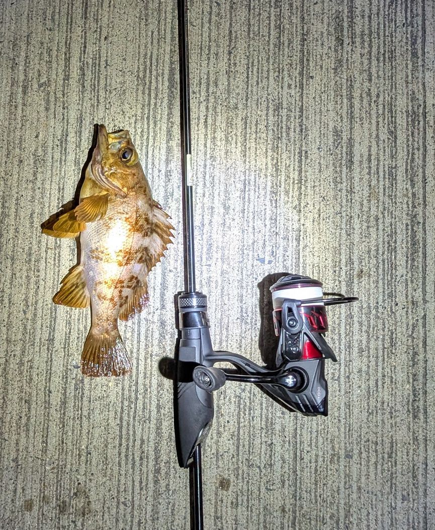 AbuGarcia ソルティーステージ プロトタイプ アジング XAJS