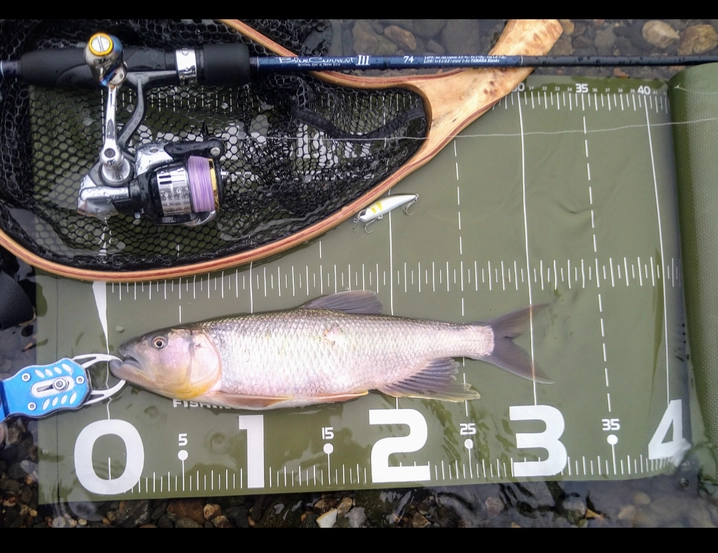 ヤマガブランクス ブルーカレント 3 74