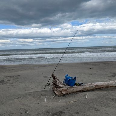 alpha tackle CRAZEE FLATFISH CRAZEEFLATFISHs106M クレイジーフラットフィッシュ