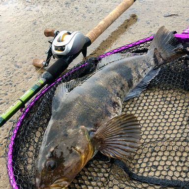 SHIMANO Metanium mg7('07) mg7