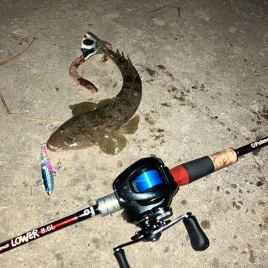 SHIMANO 24 Metanium DC 71XG
