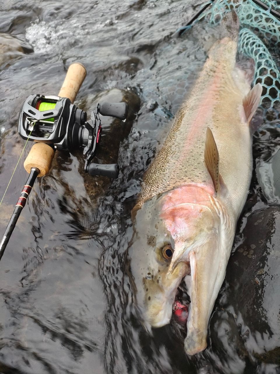 Jackson カワセミラプソディ KWSM-C46Lの最安値・インプレ・釣果