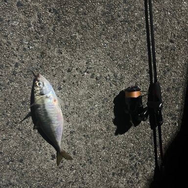 DAIWA GEKKABIJIN EX 68L-T