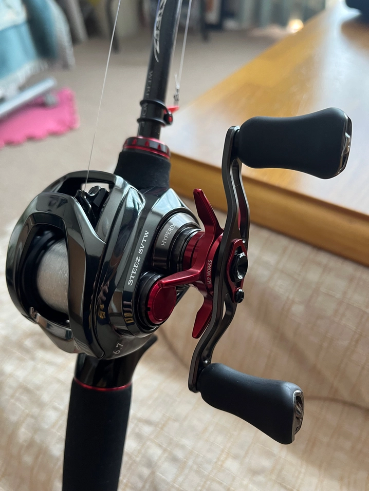 ダイワ スティーズ SV TW 100 100