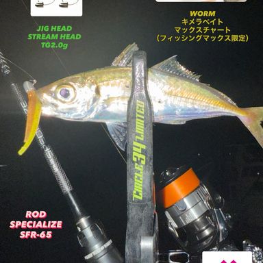 34 SPECIALIZE SFR-65