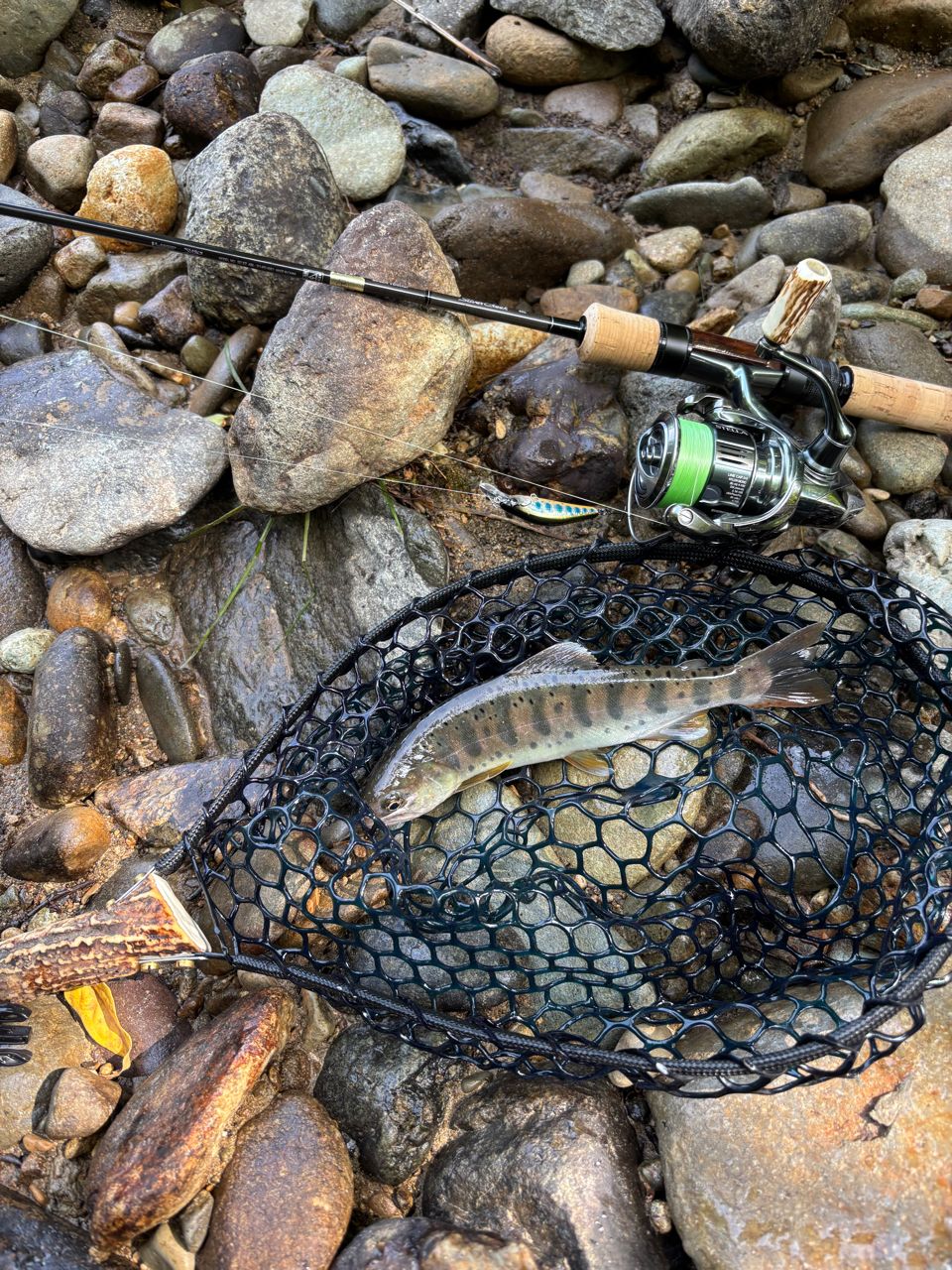 DAIWA 18シルバークリーク ストリーム トゥイッチャー 48Lの最安値