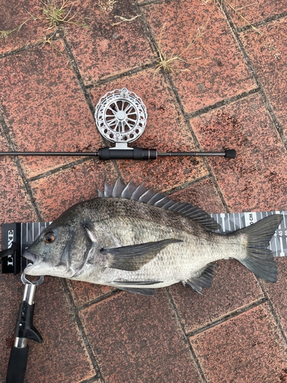 がまかつ ラグゼ 宵姫 華 弍 S62UL-solid