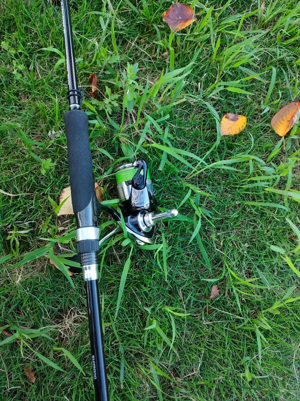 SHIMANO ソルティーアドバンス 2019年モデルの最安値・インプレ・釣果