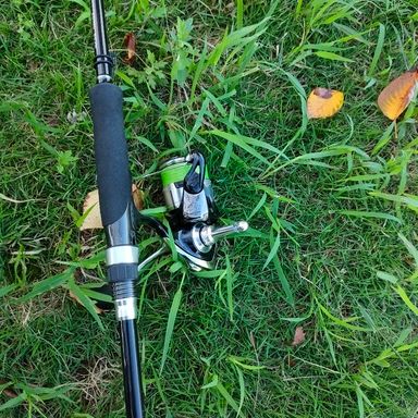 SHIMANO SALTY ADVANCE EGING S83M